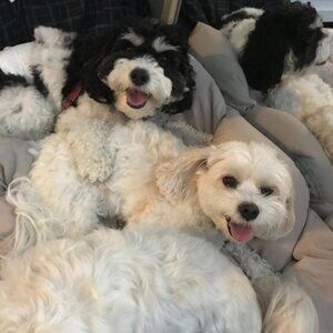 Meet your Posher, Cheryl